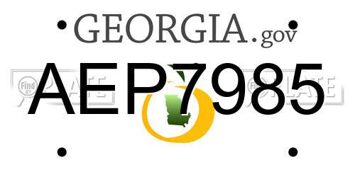 AEP7985 Georgia License Plate
