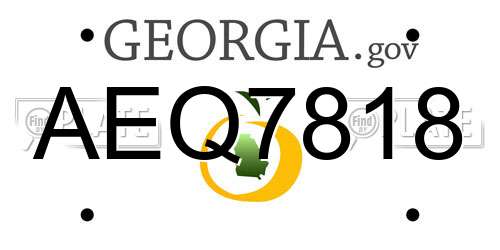 AEQ7818 Georgia License Plate