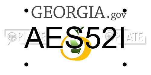AES52I Georgia License Plate