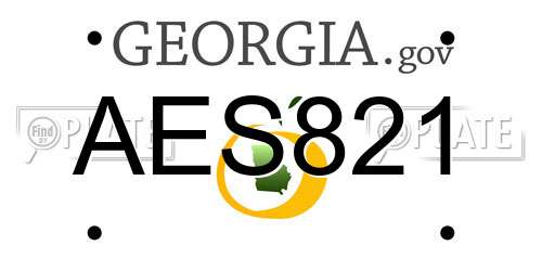 AES821 Georgia License Plate