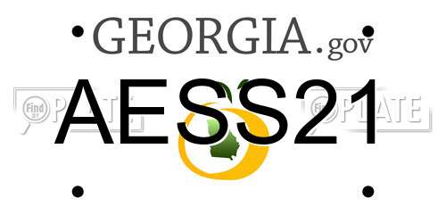 AESS21 Georgia License Plate
