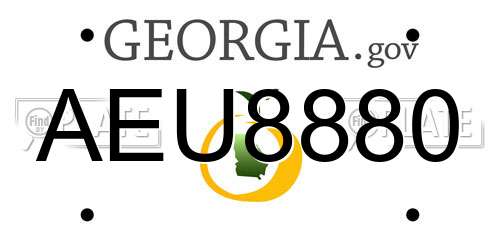 AEU8880 Georgia License Plate