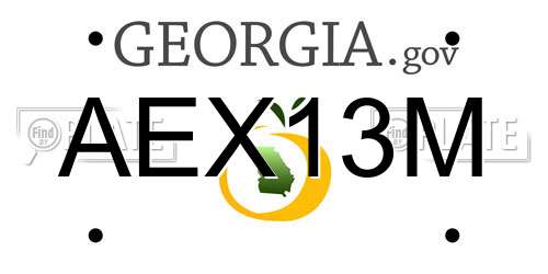 AEX13M Georgia License Plate