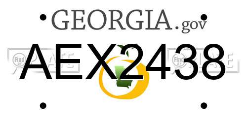 AEX2438 Georgia License Plate