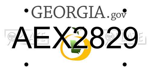 AEX2829 Georgia License Plate