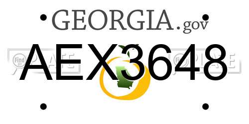 AEX3648 Georgia License Plate