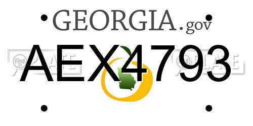 AEX4793 Georgia License Plate