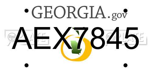 AEX7845 Georgia License Plate