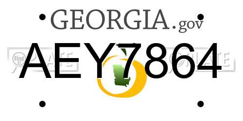 AEY7864 Georgia License Plate