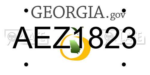 AEZ1823 Georgia License Plate