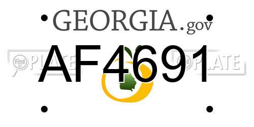 AF4691 Georgia License Plate