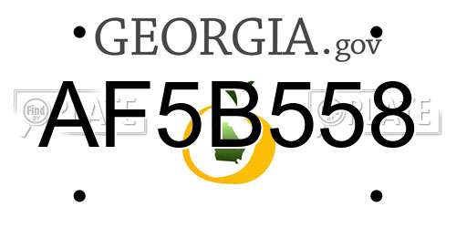 AF5B558 Georgia License Plate