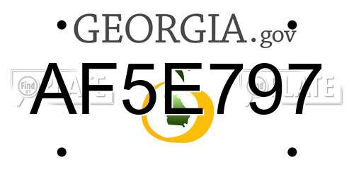 AF5E797 Georgia License Plate