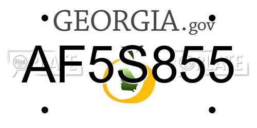 AF5S855 Georgia License Plate