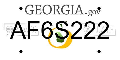 AF6S222 Georgia License Plate