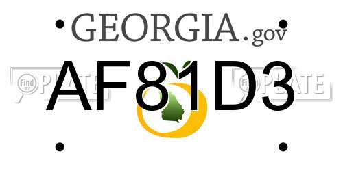 AF81D3 Georgia License Plate