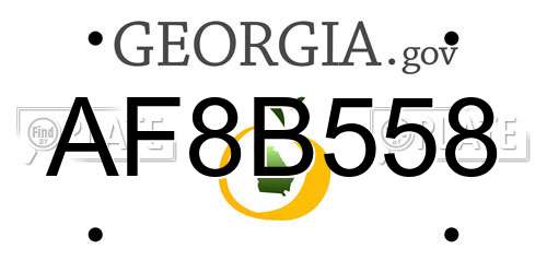 AF8B558 Georgia License Plate