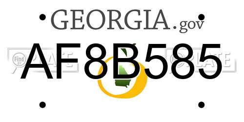 AF8B585 Georgia License Plate