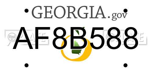 AF8B588 Georgia License Plate