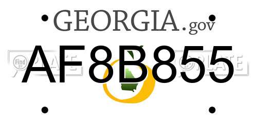 AF8B855 Georgia License Plate