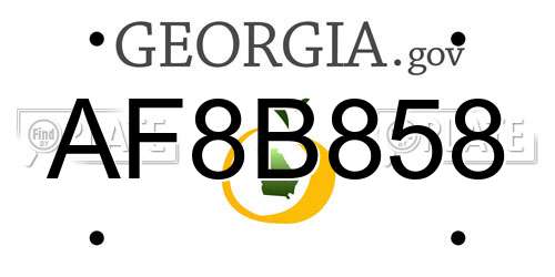 AF8B858 Georgia License Plate