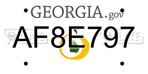 AF8E797 Georgia License Plate