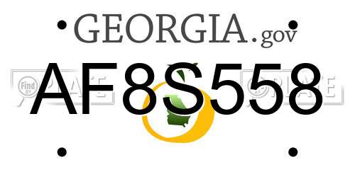 AF8S558 Georgia License Plate
