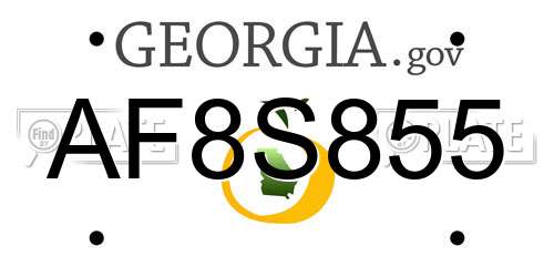 AF8S855 Georgia License Plate