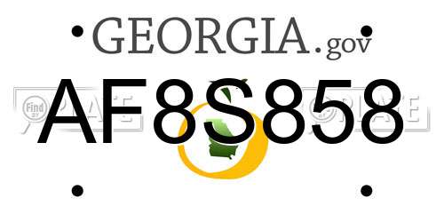 AF8S858 Georgia License Plate