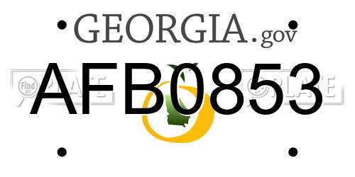 AFB0853 Georgia License Plate