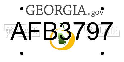 AFB3797 Georgia License Plate