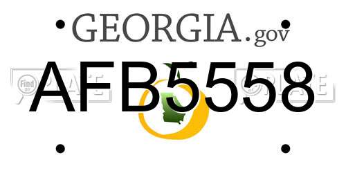 AFB5558 Georgia License Plate