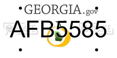 AFB5585 Georgia License Plate