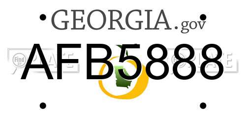 AFB5888 Georgia License Plate