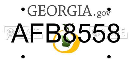 AFB8558 Georgia License Plate