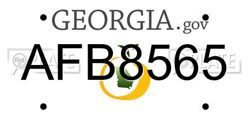 AFB8565 Georgia License Plate