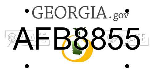 AFB8855 Georgia License Plate