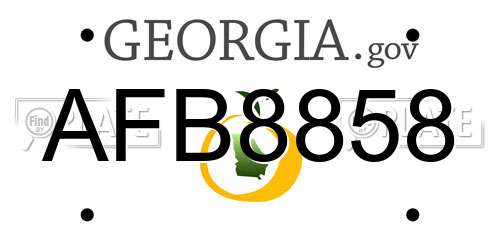 AFB8858 Georgia License Plate