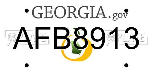 AFB8913 Georgia License Plate
