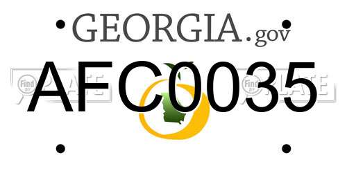 AFC0035 Georgia License Plate