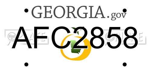 AFC2858 Georgia License Plate
