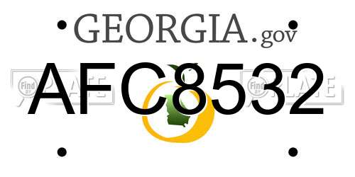 AFC8532 Georgia License Plate