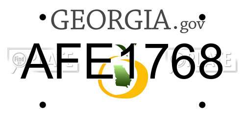 AFE1768 Georgia License Plate