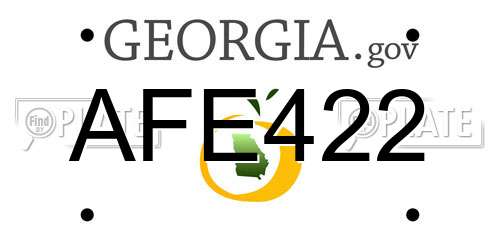 AFE422 Georgia License Plate