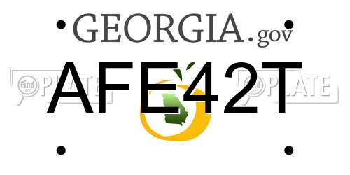 AFE42T Georgia License Plate