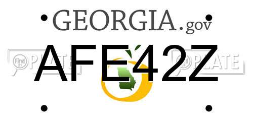 AFE42Z Georgia License Plate