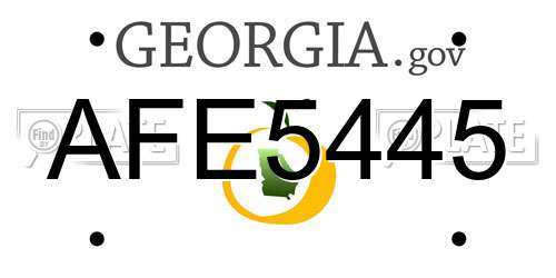 AFE5445 Georgia License Plate