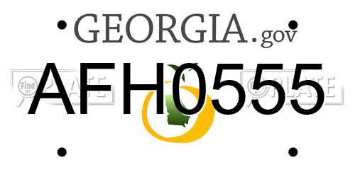 AFH0555 Georgia License Plate