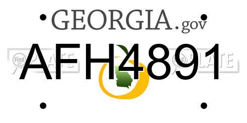 AFH4891 Georgia License Plate