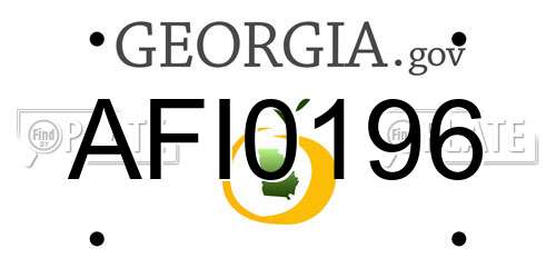 AFI0196 Georgia License Plate